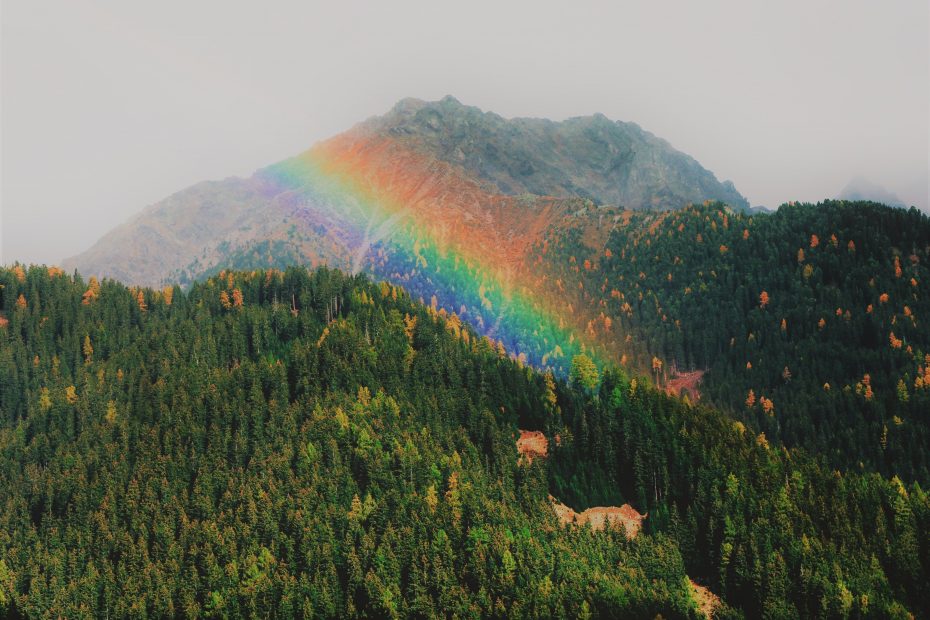 Inequality in carbon emissions