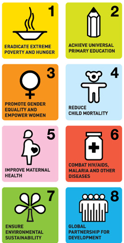 MDGs